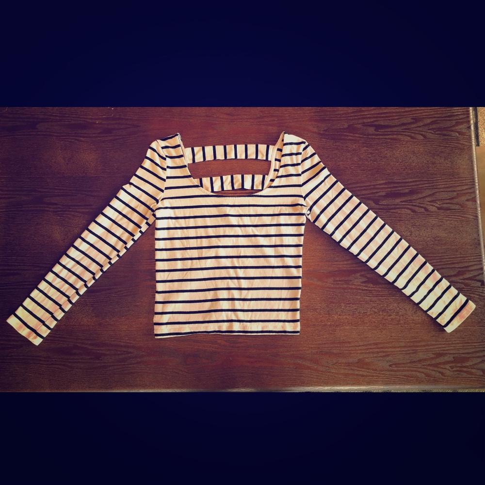 Blush Pink Long Sleeve Crop Top